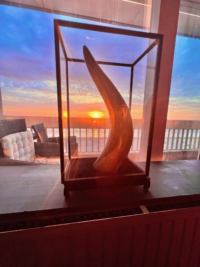 Ocean Breezeapartment: Wakeup 2 Sound Of The Waves Zandvoort Ngoại thất bức ảnh